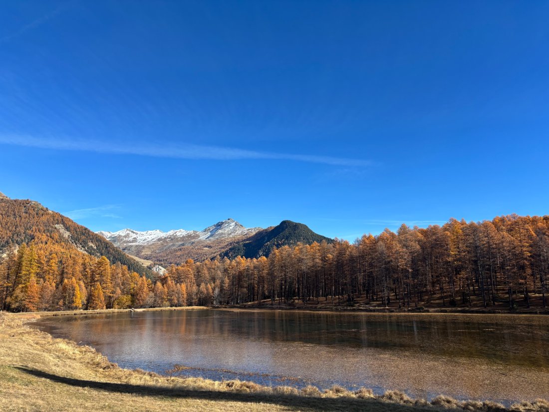 Couleurs d’Automne Queyras